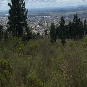 大黑鸡吧插逼视频
