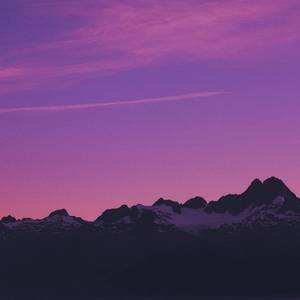 大黑鸡吧插逼视频
