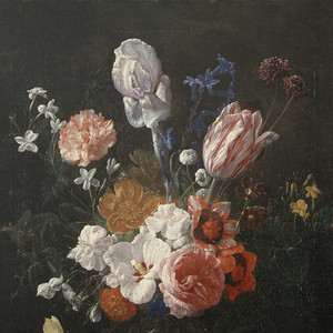 大黑鸡吧插逼视频
